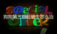 狗狗第三眼瞼增生怎么治療(狗狗第三眼瞼增生用什么眼藥水)