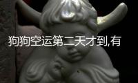 狗狗空運第二天才到,有人會照顧嗎(狗狗空運需要辦理哪些手續)