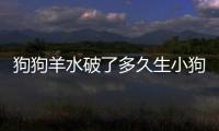 狗狗羊水破了多久生小狗呢圖片？狗狗羊水破了多久不生算難產