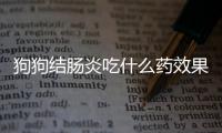 狗狗結腸炎吃什么藥效果最好(狗狗結腸炎怎么治療)