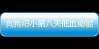 狗狗細小第八天低血糖能救回來嗎(狗狗得了細小后低血糖)