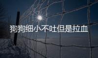 狗狗細小不吐但是拉血