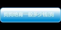 狗狗絕育一般多少錢(狗狗絕育后漏尿的原因)
