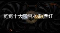 狗狗十大禁忌水果(西紅柿對身體有什么好處)