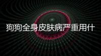 狗狗全身皮膚病嚴(yán)重用什么藥治療(狗狗全身癢又撓又啃的用什么藥)