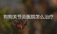 狗狗關節炎醫院怎么治療方法好？狗狗關節炎怎么護理