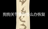 狗狗關(guān)節(jié)骨折怎么辦恢復(fù)快？狗狗關(guān)節(jié)骨折怎么辦能治好嗎