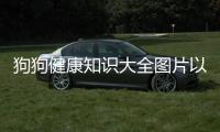 狗狗健康知識(shí)大全圖片以及狗狗健康知識(shí)大全的情況分析