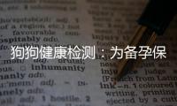 狗狗健康檢測：為備孕保駕護航