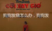 狗狗發(fā)燒怎么辦，狗狗發(fā)燒癥狀的治療妙方