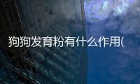 狗狗發育粉有什么作用(狗狗發育期怎樣補充營養)
