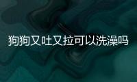狗狗又吐又拉可以洗澡嗎(狗狗又吐又拉稀怎么治)