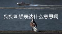 狗狗叫想表達什么意思啊？狗狗叫是想干嘛