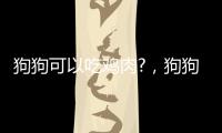 狗狗可以吃雞肉?，狗狗可以吃雞肉干嘛