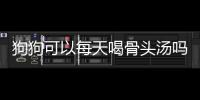 狗狗可以每天喝骨頭湯嗎(狗狗可以喝骨頭湯嗎)