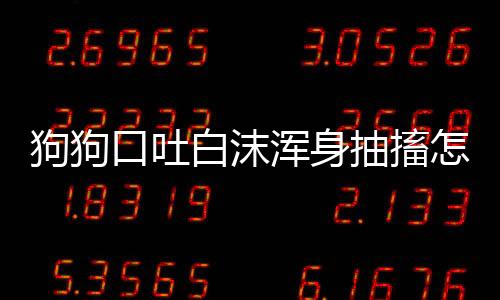 狗狗口吐白沫渾身抽搐怎么回事(狗狗口吐白沫四肢抽搐臥地不起)