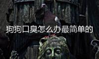 狗狗口臭怎么辦最簡單的方法(狗狗口臭怎么辦該怎樣消除)