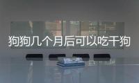 狗狗幾個月后可以吃干狗糧(狗狗幾個月開始訓練大小便)
