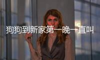 狗狗到新家第一晚一直叫，狗狗到新家第一晚怎么辦