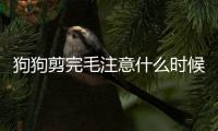 狗狗剪完毛注意什么時候可以洗澡？狗狗剪完毛注意什么時候能洗澡