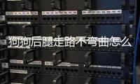 狗狗后腿走路不彎曲怎么回事？狗狗后腿走路不正常