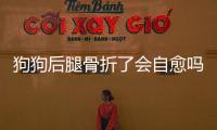 狗狗后腿骨折了會自愈嗎(狗狗后腿骨折如何處理)