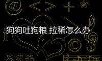 狗狗吐狗糧 拉稀怎么辦啊？狗狗吐狗糧 拉稀怎么辦吃什么藥
