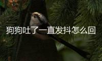 狗狗吐了一直發抖怎么回事啊？狗狗吐了一直發抖怎么回事吃什么藥