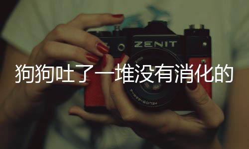 狗狗吐了一堆沒有消化的東西(狗子吃東西吐什么原因)