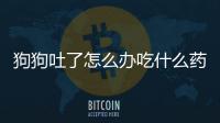 狗狗吐了怎么辦吃什么藥？狗狗吐了怎么辦?