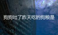 狗狗吐了昨天吃的狗糧是怎么回事(狗狗吐吃什么藥好見效快)