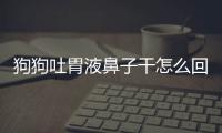 狗狗吐胃液鼻子干怎么回事？狗狗吐胃液鼻子干怎么辦