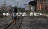 狗狗吐過之后一直舔地(狗狗一直吐舌頭舔空氣)