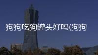 狗狗吃狗罐頭好嗎(狗狗吃狗罐頭會挑食嗎)