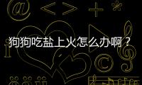 狗狗吃鹽上火怎么辦啊？狗狗吃鹽會拉肚子嗎