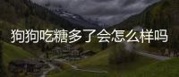 狗狗吃糖多了會(huì)怎么樣嗎？狗狗吃糖吃多了會(huì)怎么樣