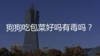 狗狗吃包菜好嗎有毒嗎？狗狗吃包菜的好處