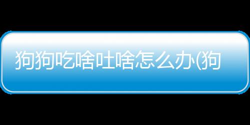 狗狗吃啥吐啥怎么辦(狗狗吃啥能長(zhǎng)胖)