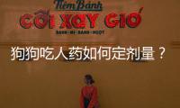 狗狗吃人藥如何定劑量？給狗吃人藥按照什么計量吃
