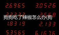 狗狗吃了辣椒怎么辦(狗狗吃了魚刺沒反應(yīng))