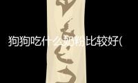 狗狗吃什么奶粉比較好(狗狗吃什么牌子的狗糧好)
