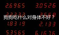 狗狗吃什么對身體不好？狗吃啥對身體好