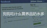 狗狗吃什么營養(yǎng)品奶水多一點(diǎn)？狗狗吃什么營養(yǎng)品奶水多呢