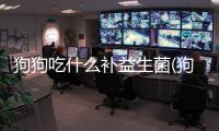 狗狗吃什么補益生菌(狗狗吃什么補益生菌最好)