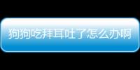 狗狗吃拜耳吐了怎么辦啊？狗吃拜耳吐了需要重新吃嗎