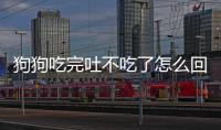 狗狗吃完吐不吃了怎么回事兒？狗狗吃完吐不吃了怎么回事吃什么藥