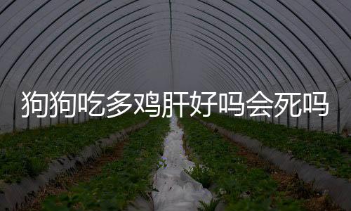 狗狗吃多雞肝好嗎會死嗎？狗狗吃雞肝過量會有什么影響?