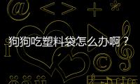 狗狗吃塑料袋怎么辦啊？狗狗吃塑料袋怎么回事