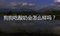 狗狗吃酸奶會怎么樣嗎？狗狗吃酸奶好處與壞處