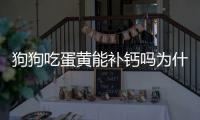 狗狗吃蛋黃能補鈣嗎為什么？狗狗吃蛋黃能補鈣嗎怎么吃